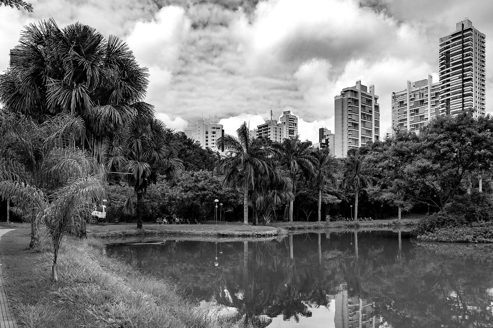 Edifícios residenciais acima das palmeiras do Parque Vaca Brava, em Goiânia